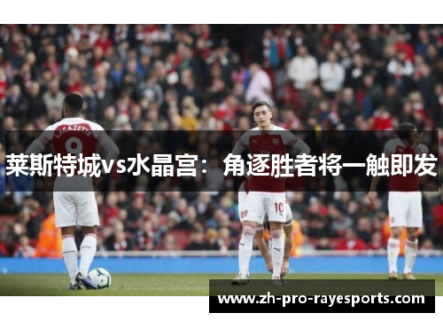 莱斯特城vs水晶宫:角逐胜者将一触即发 莱斯特城vs水晶宫:角逐胜者将一触即发
