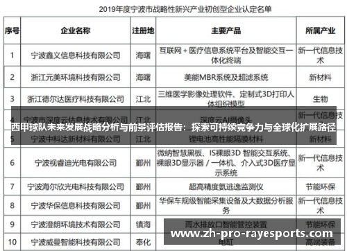 西甲球队未来发展战略分析与前景评估报告：探索可持续竞争力与全球化扩展路径