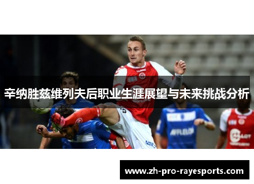 辛纳胜兹维列夫后职业生涯展望与未来挑战分析