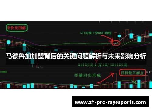 马德鲁加加盟背后的关键问题解析与未来影响分析