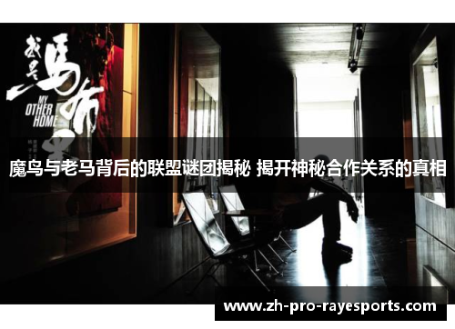 魔鸟与老马背后的联盟谜团揭秘 揭开神秘合作关系的真相
