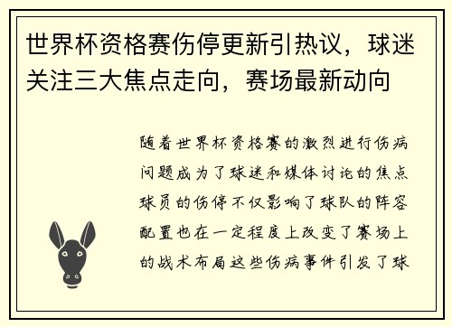 世界杯资格赛伤停更新引热议，球迷关注三大焦点走向，赛场最新动向